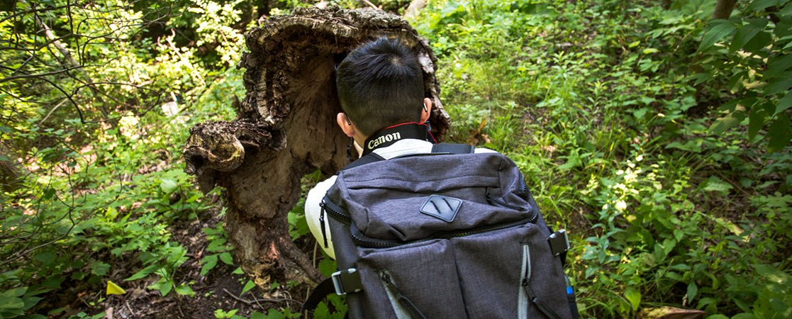 A student bends to photograph a log in a forest