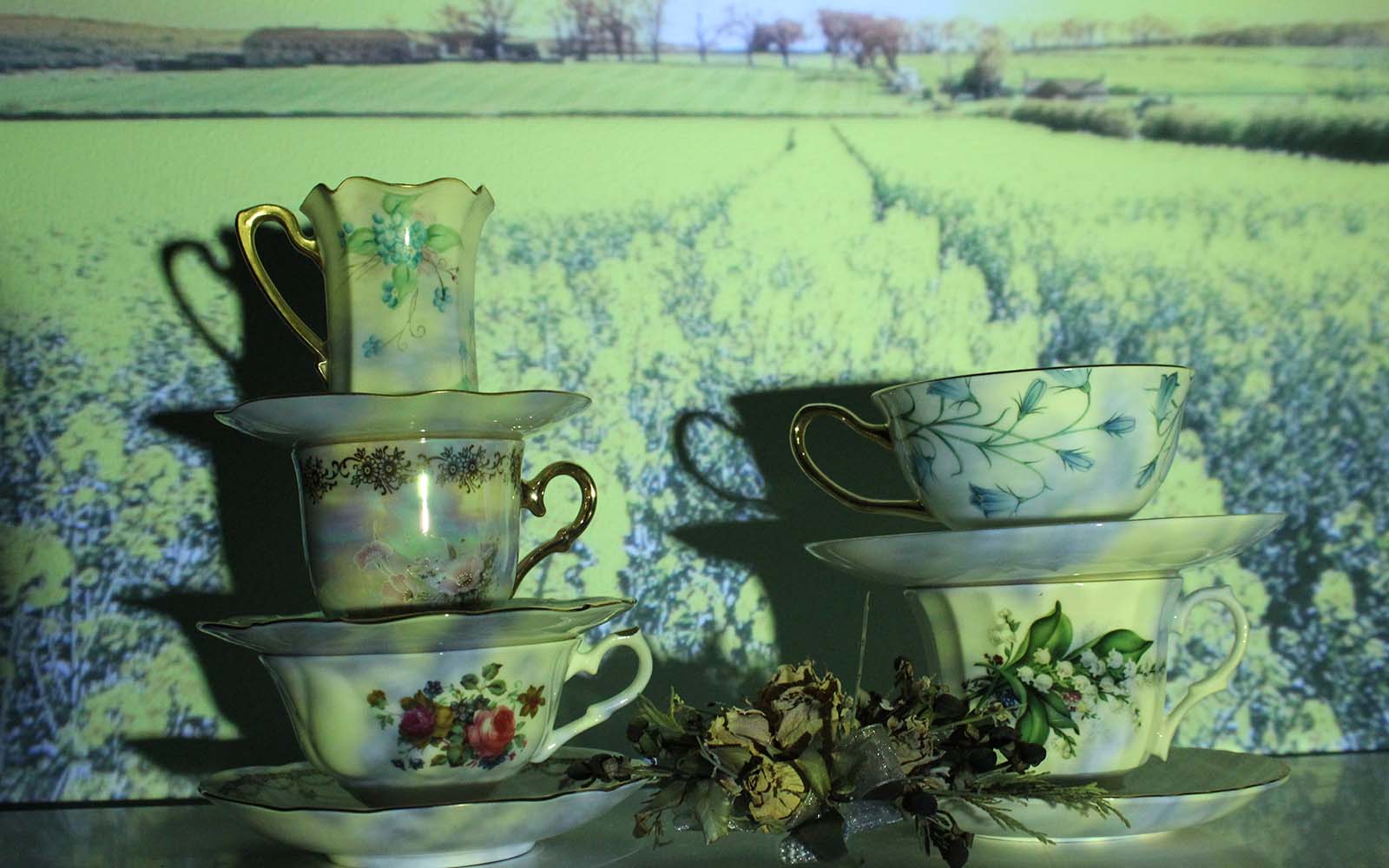 Green-tinted photograph of a delicate tea set with dried flowers.